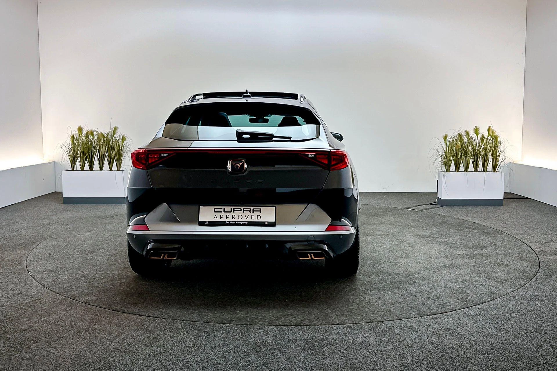 Hoofdafbeelding CUPRA Formentor