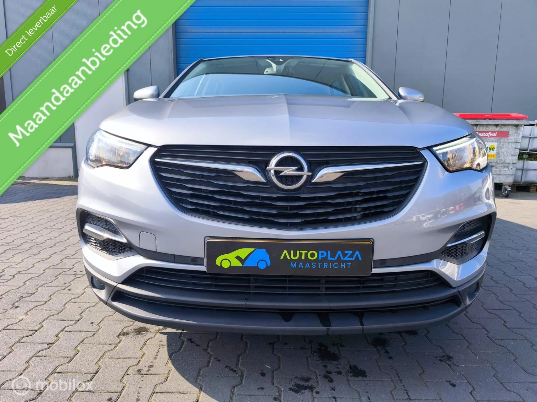 Hoofdafbeelding Opel Grandland X