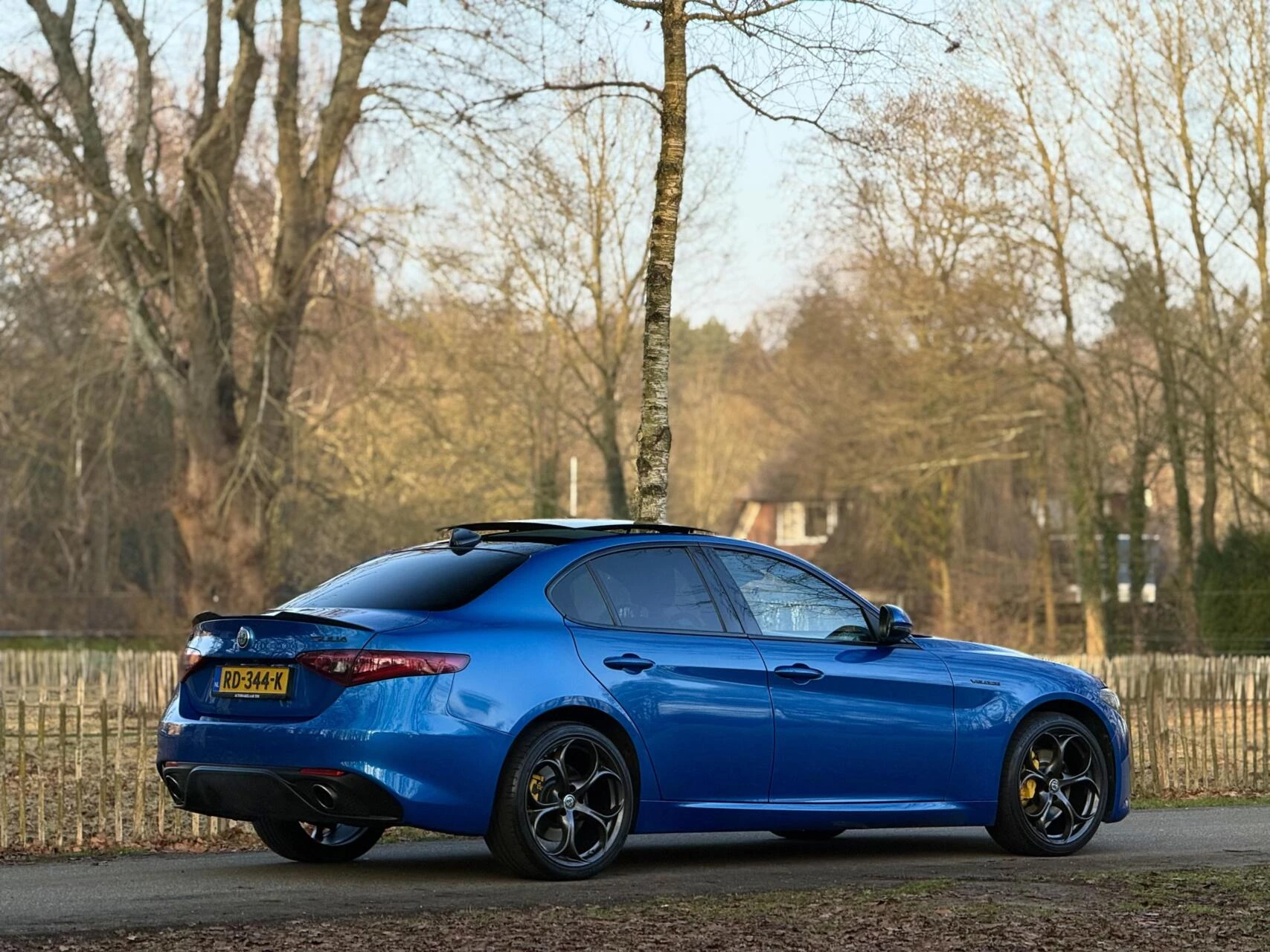 Hoofdafbeelding Alfa Romeo Giulia