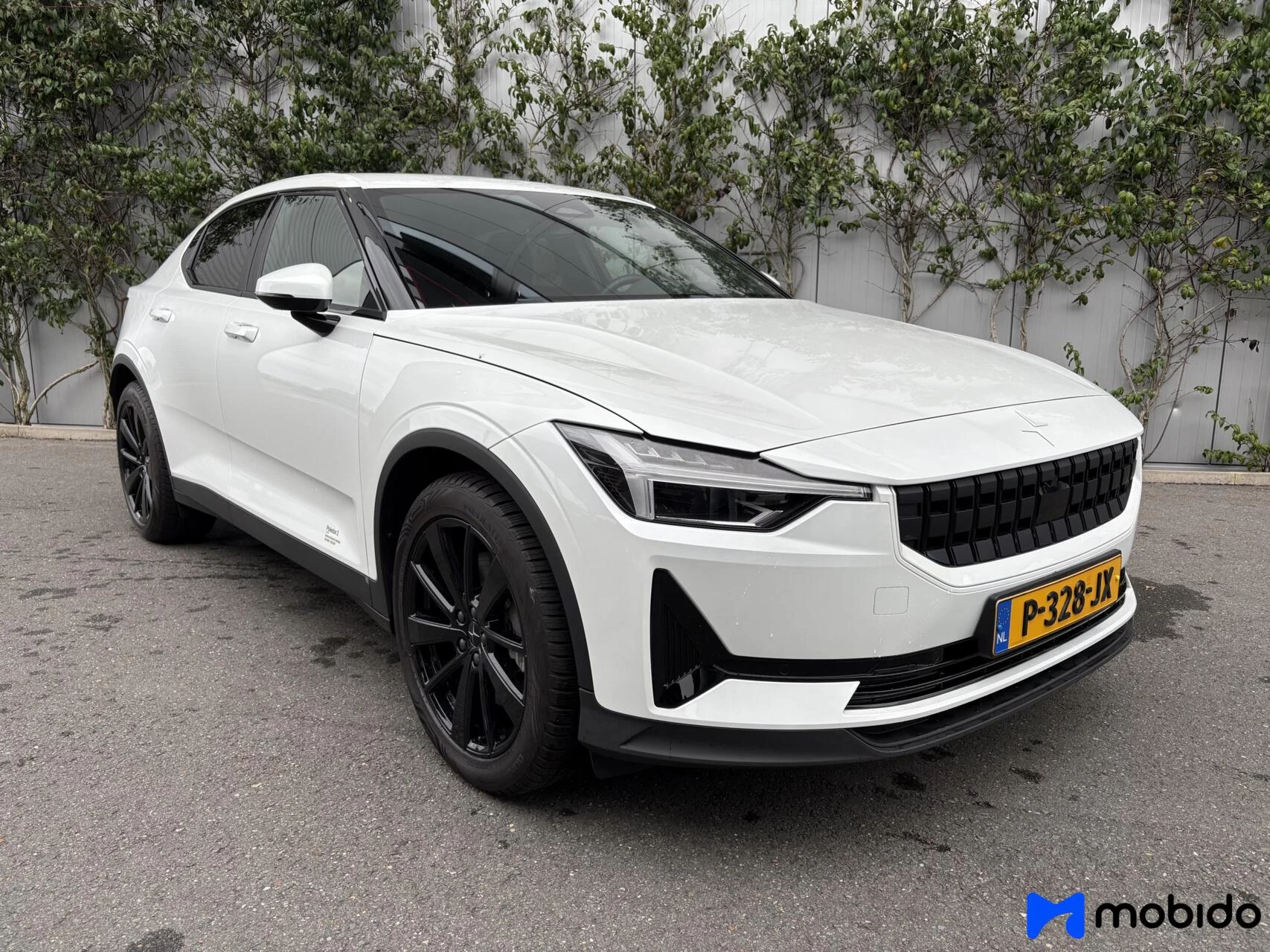 Hoofdafbeelding Polestar 2