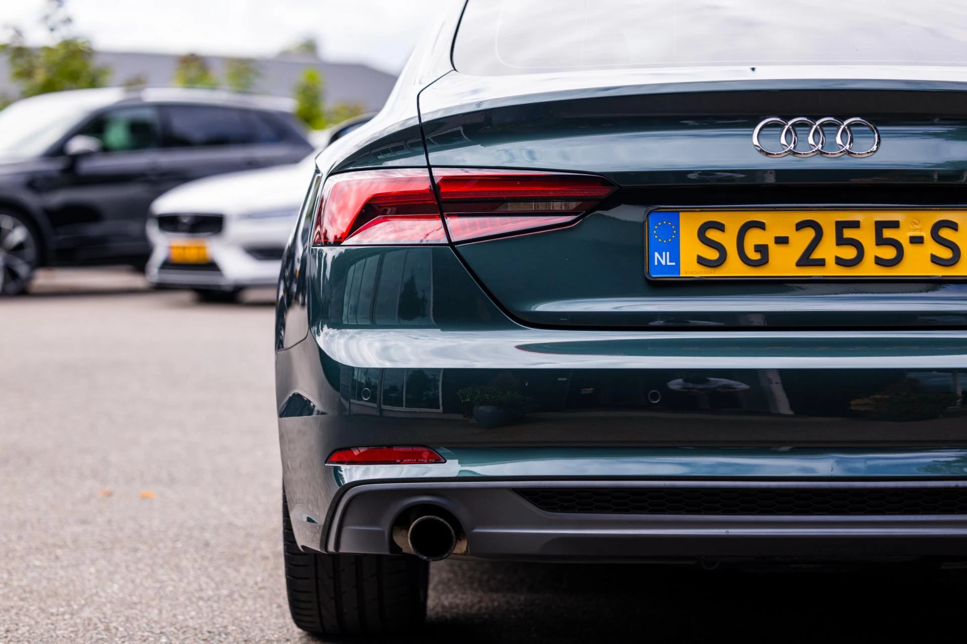 Hoofdafbeelding Audi A5