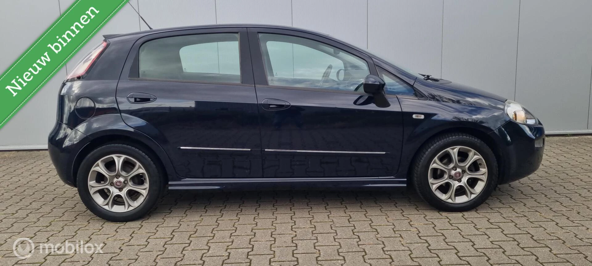 Hoofdafbeelding Fiat Punto
