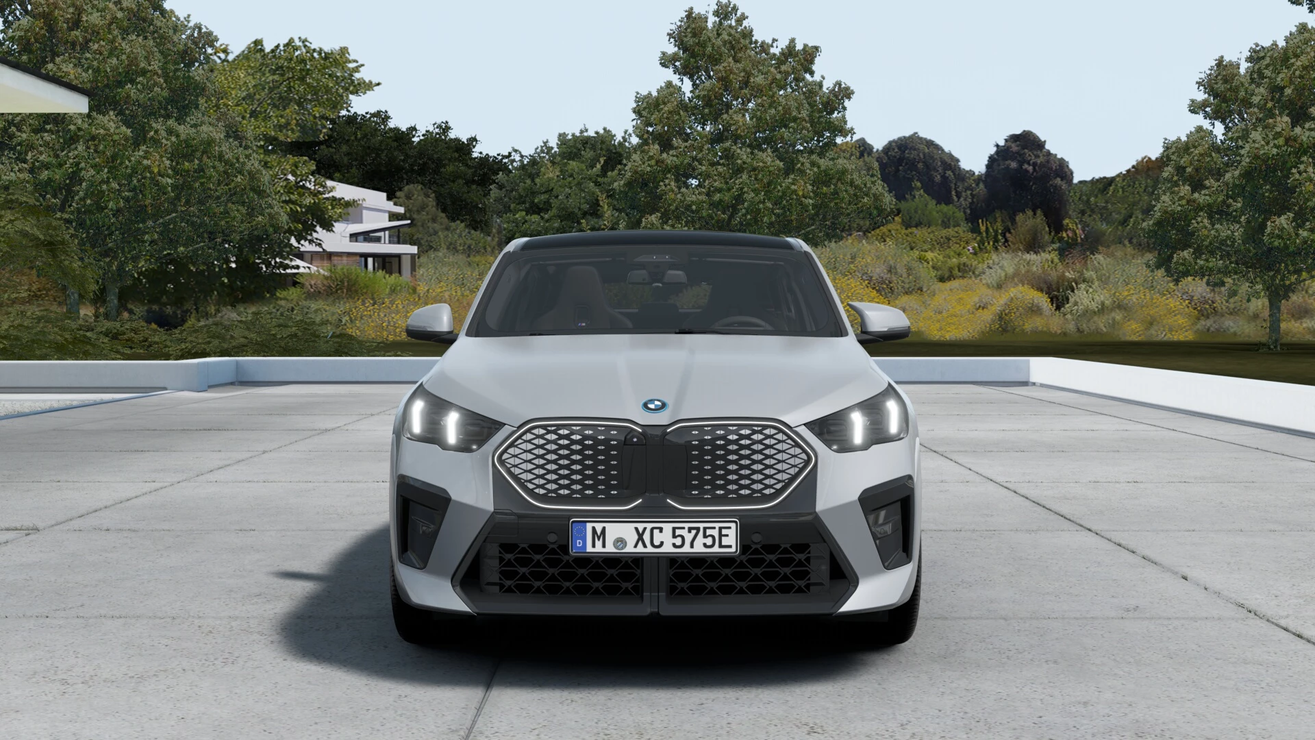 Hoofdafbeelding BMW iX2