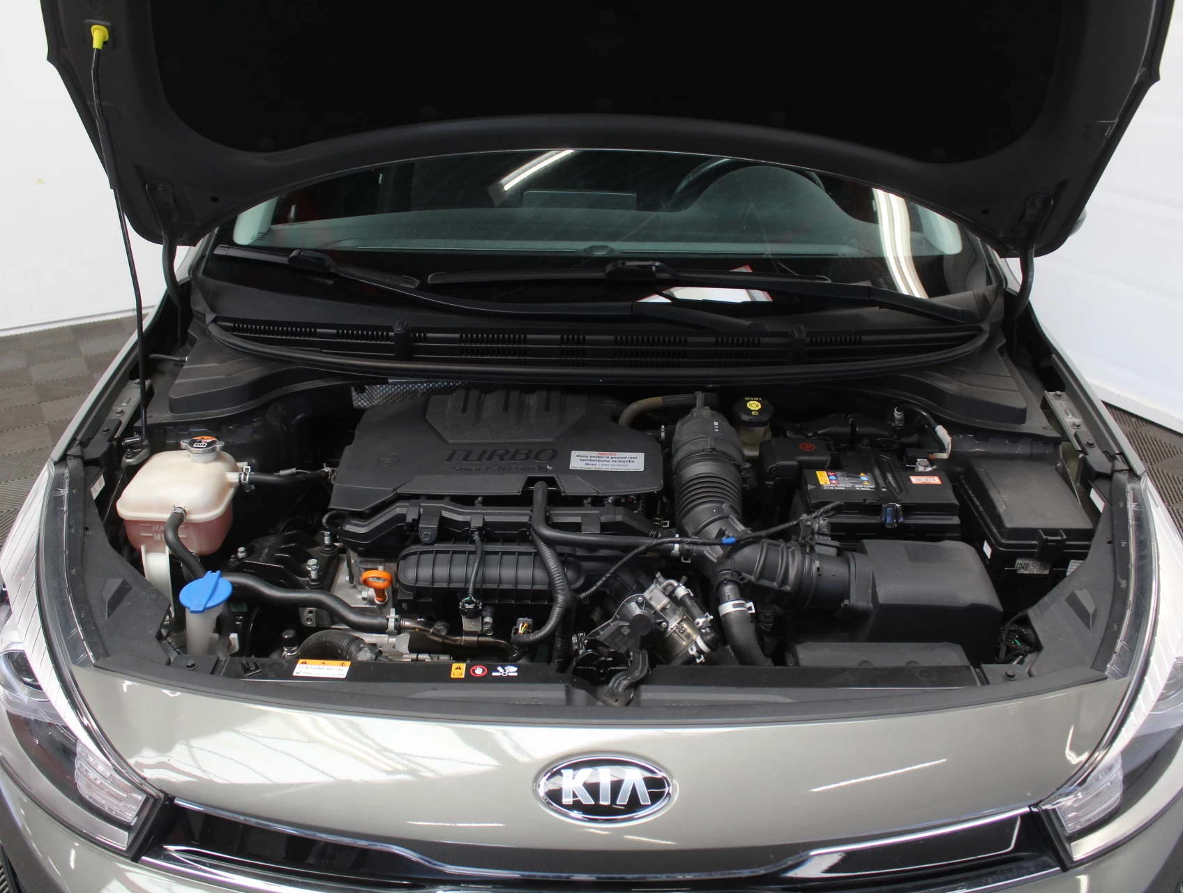 Hoofdafbeelding Kia Rio