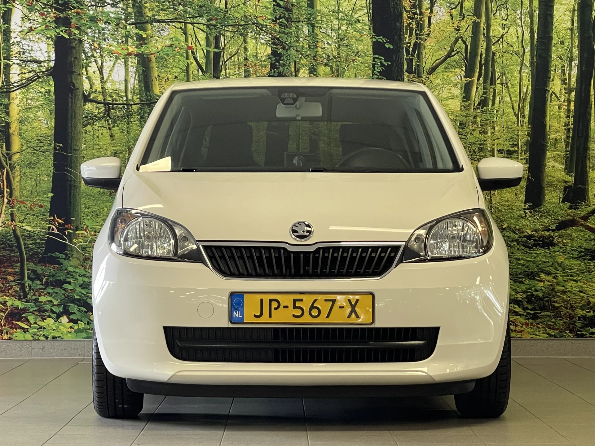 Hoofdafbeelding Škoda Citigo