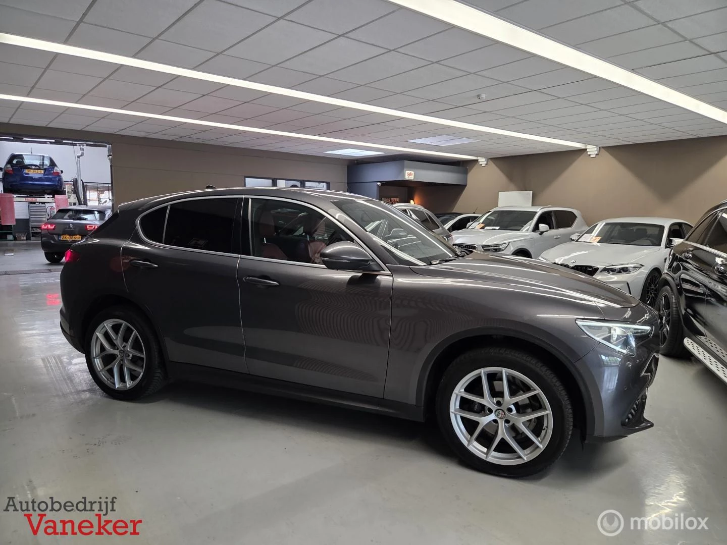 Hoofdafbeelding Alfa Romeo Stelvio