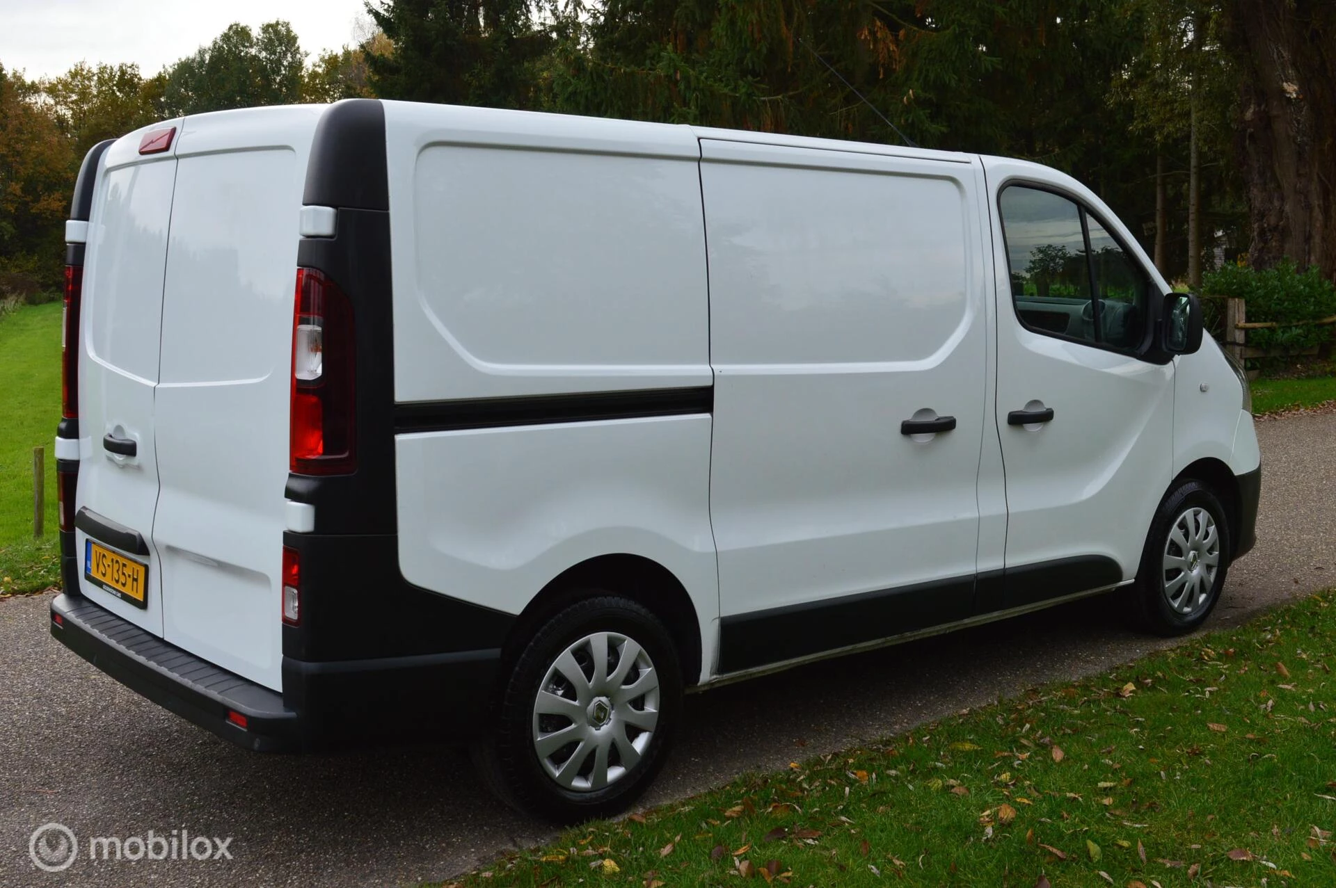 Hoofdafbeelding Renault Trafic