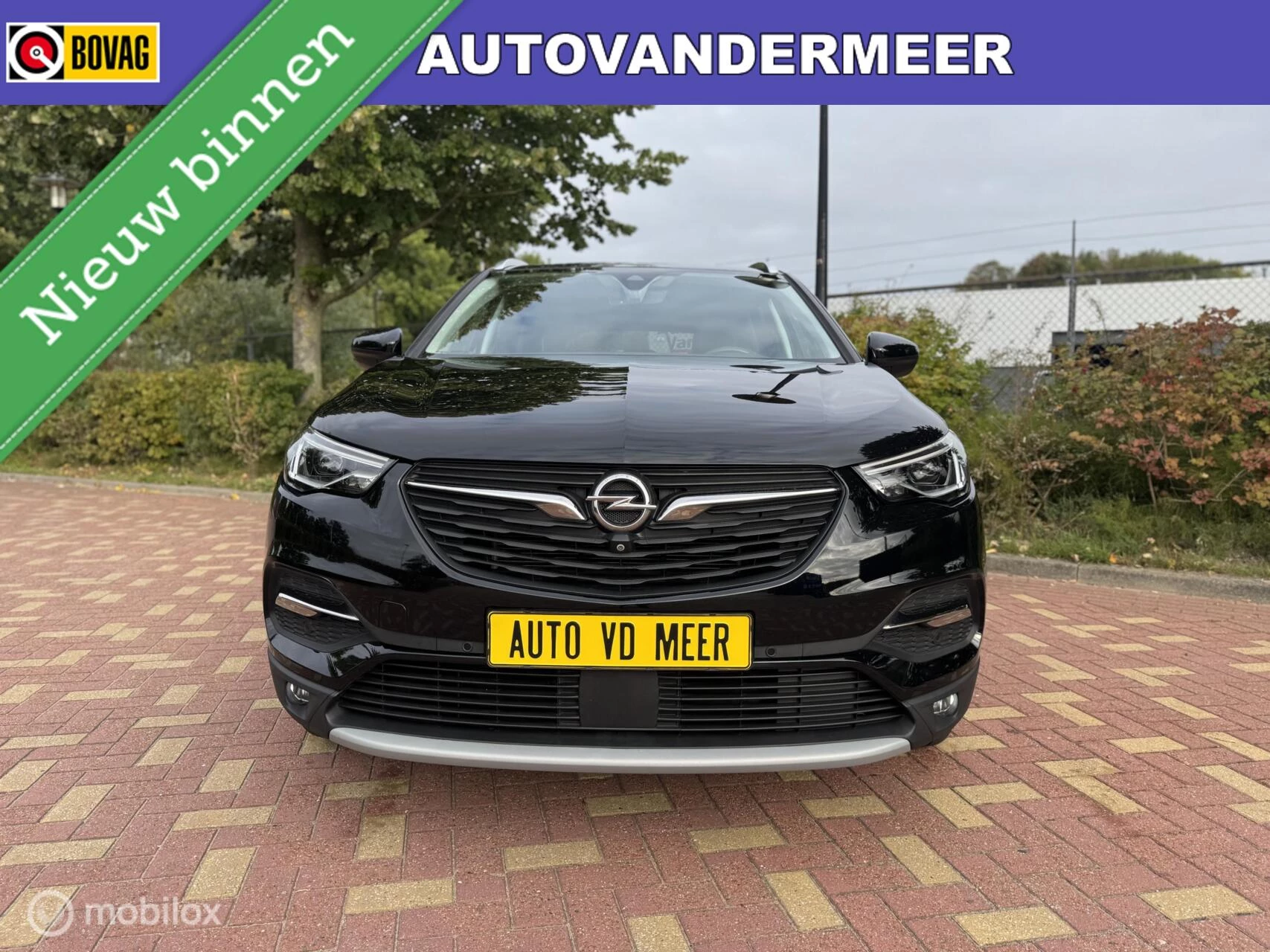 Hoofdafbeelding Opel Grandland X