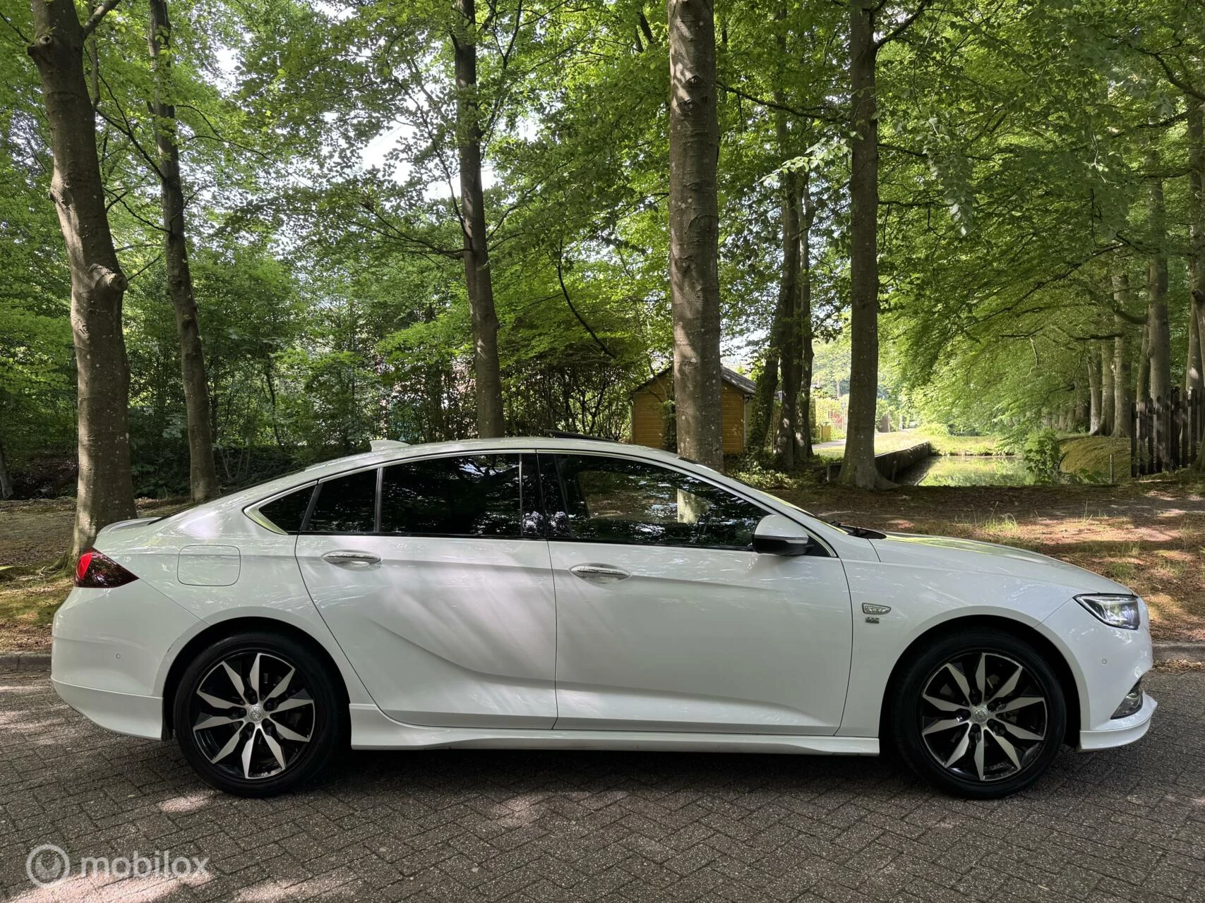 Hoofdafbeelding Opel Insignia