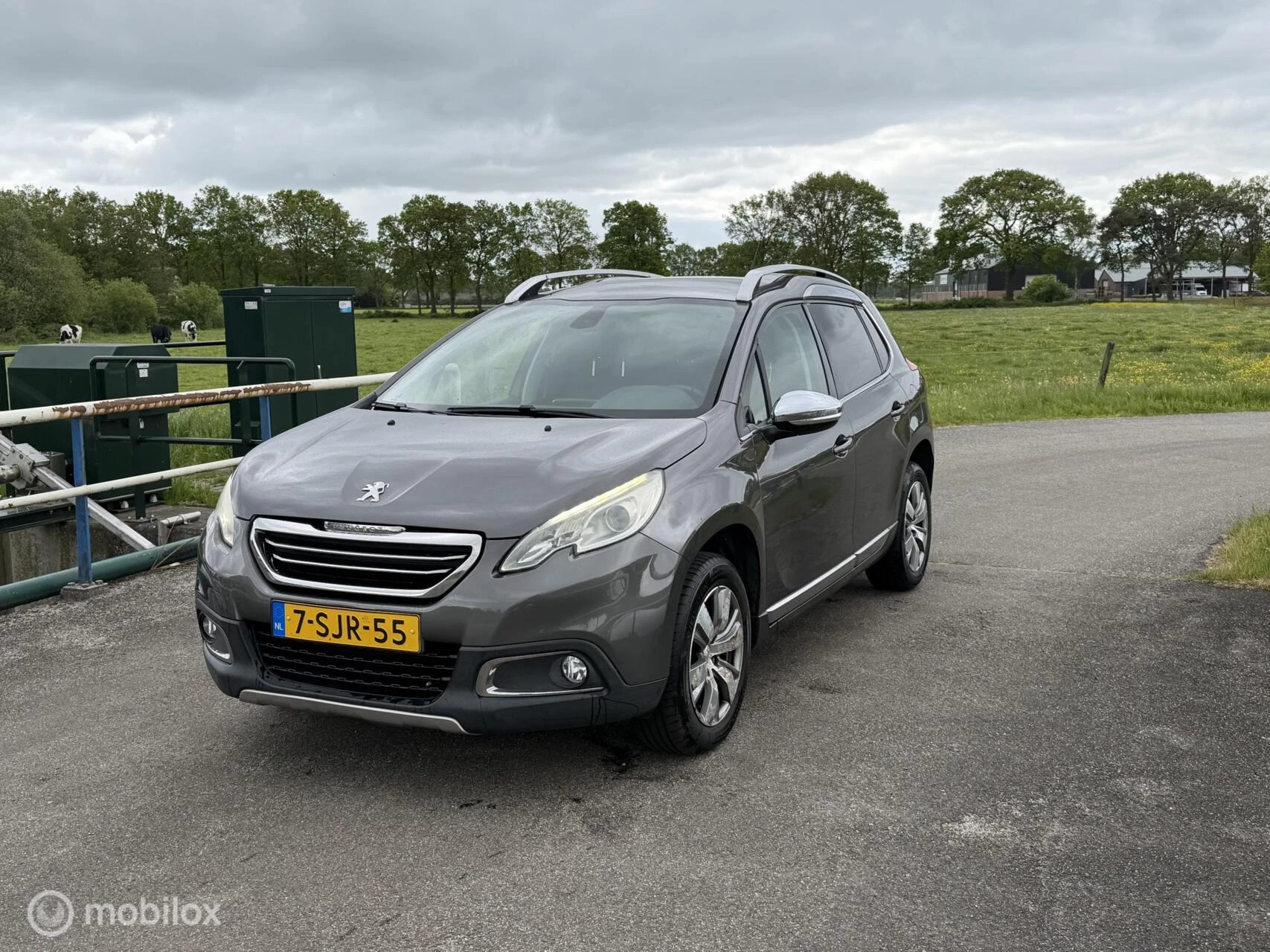 Hoofdafbeelding Peugeot 2008