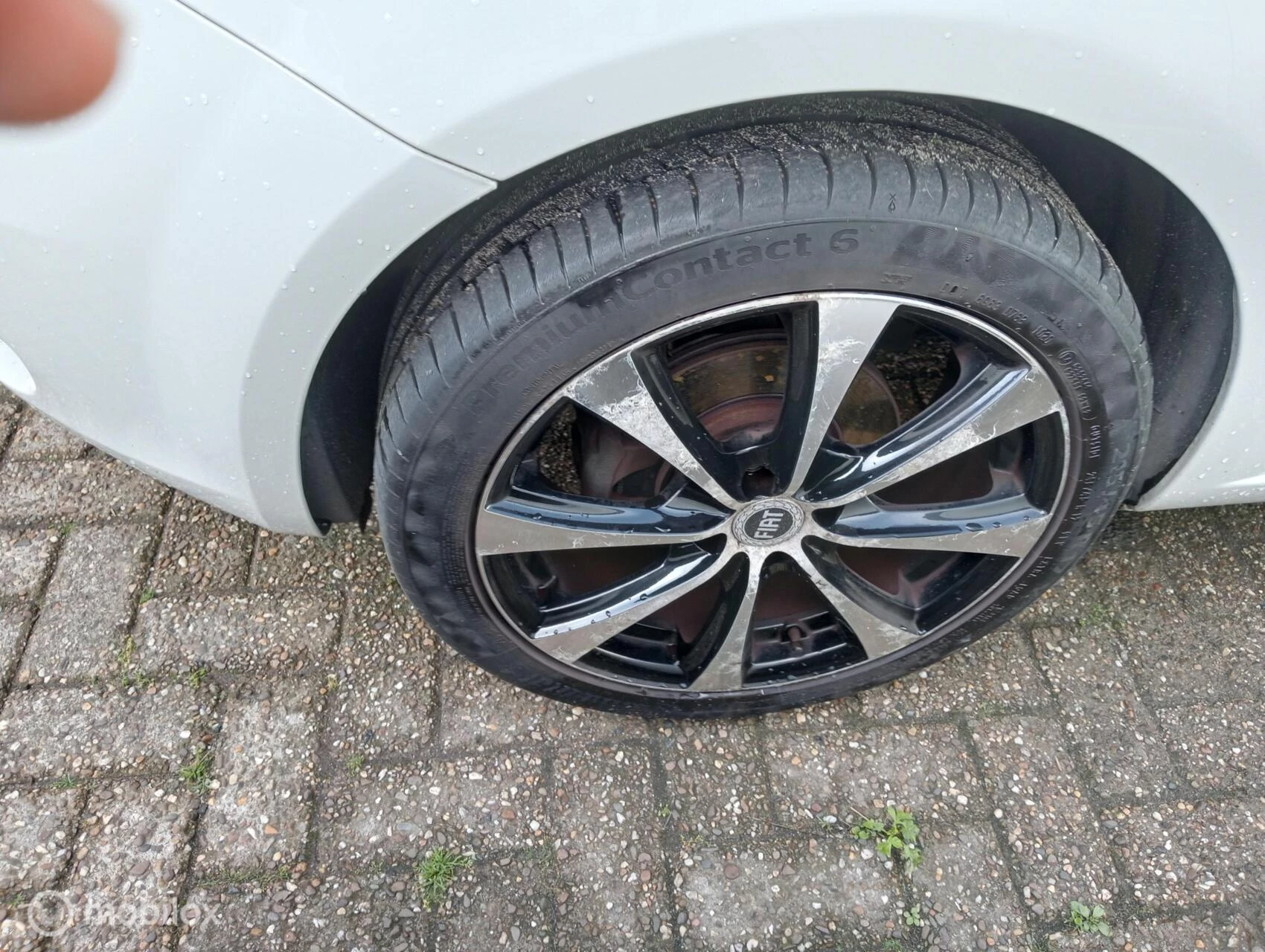 Hoofdafbeelding Fiat Punto