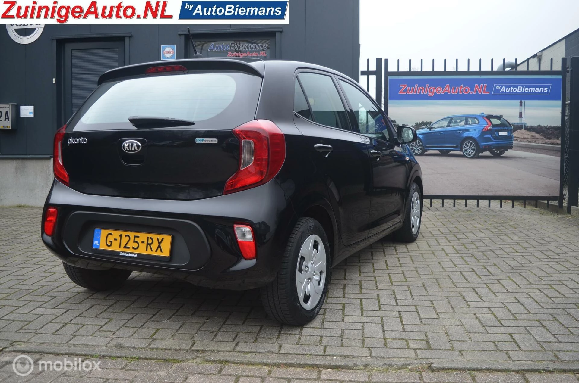 Hoofdafbeelding Kia Picanto