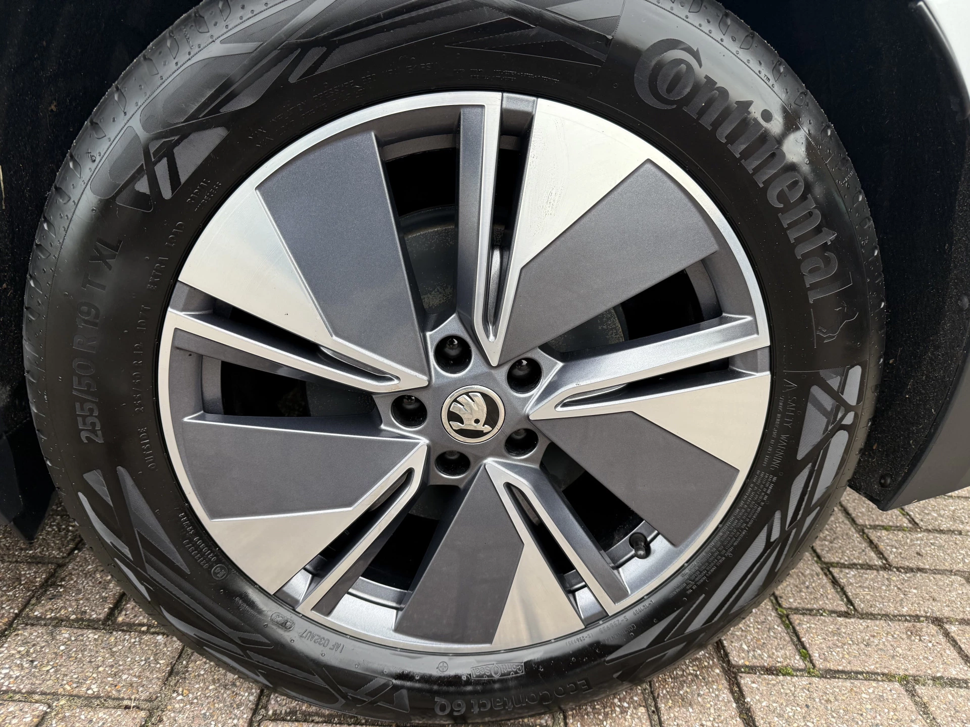 Hoofdafbeelding Škoda Enyaq iV