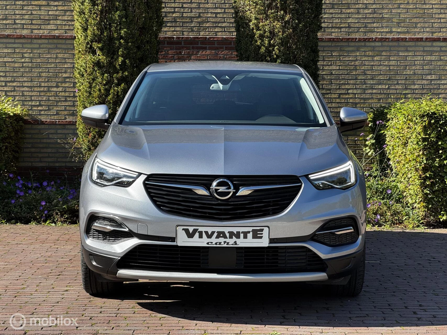 Hoofdafbeelding Opel Grandland X