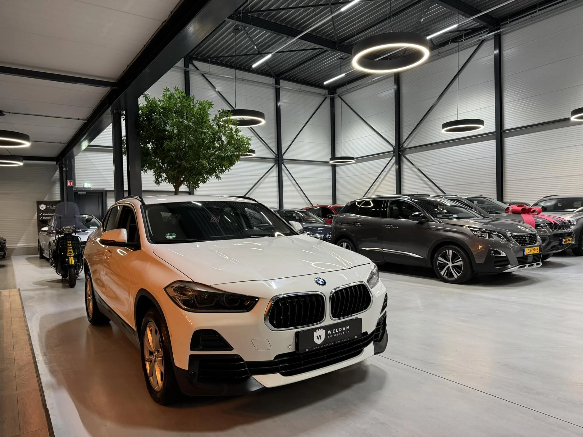 Hoofdafbeelding BMW X2