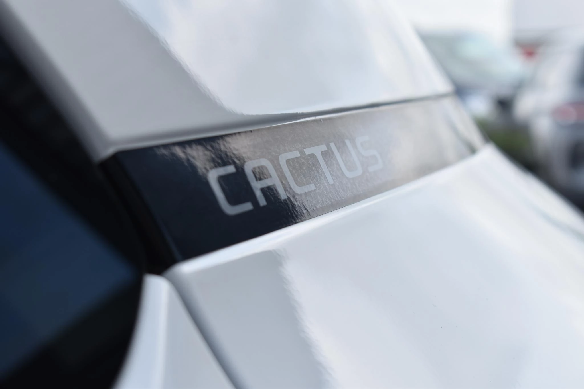 Hoofdafbeelding Citroën C4 Cactus