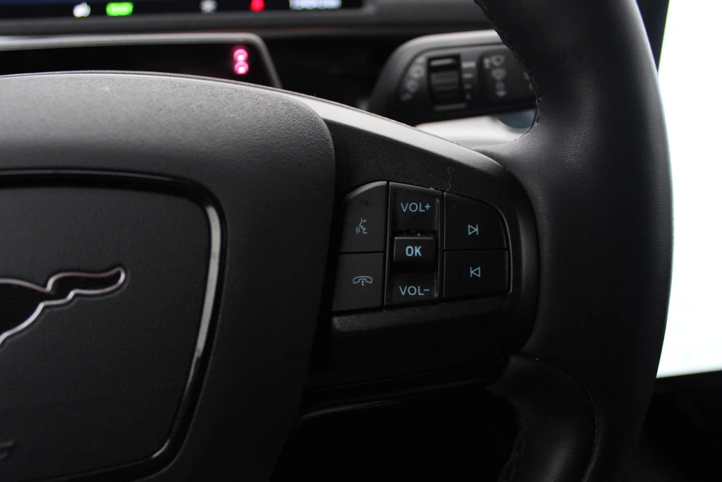 Hoofdafbeelding Ford Mustang Mach-E