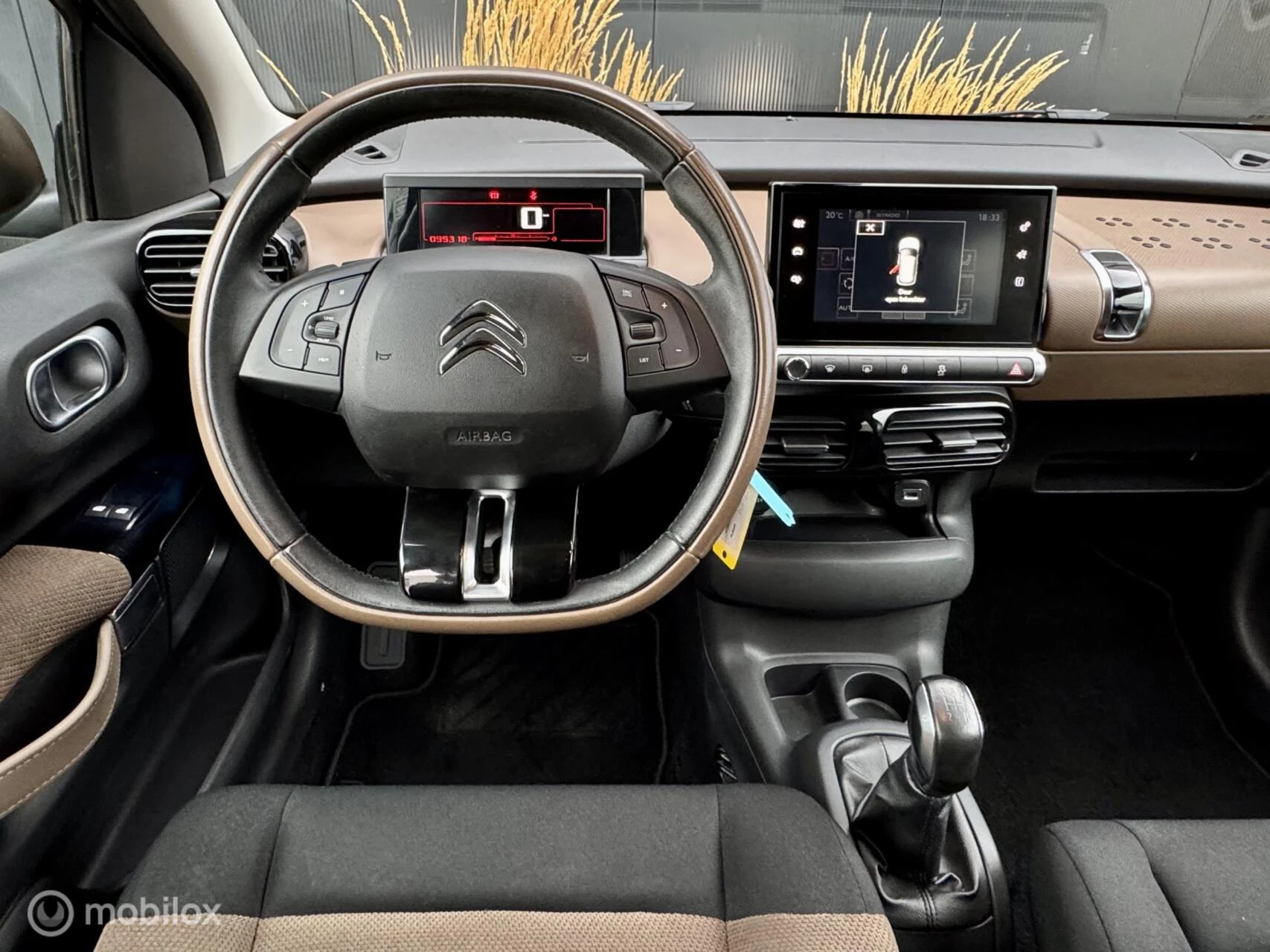 Hoofdafbeelding Citroën C4 Cactus