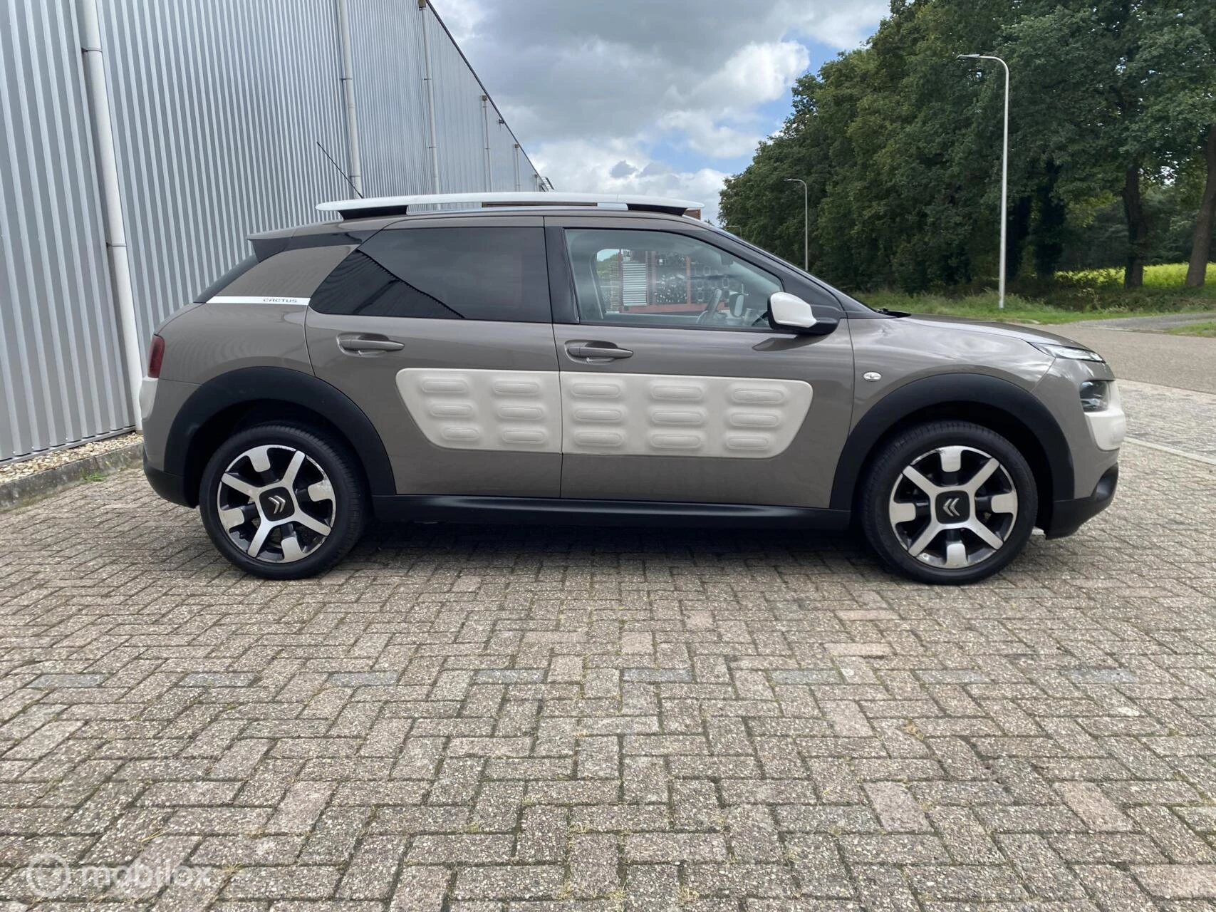 Hoofdafbeelding Citroën C4 Cactus