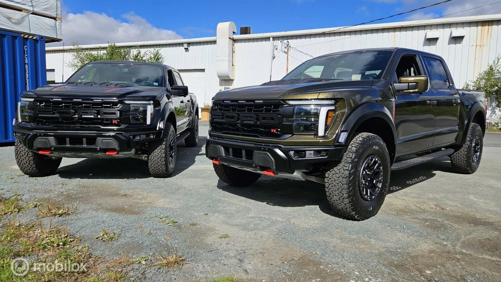 Hoofdafbeelding Ford Raptor R