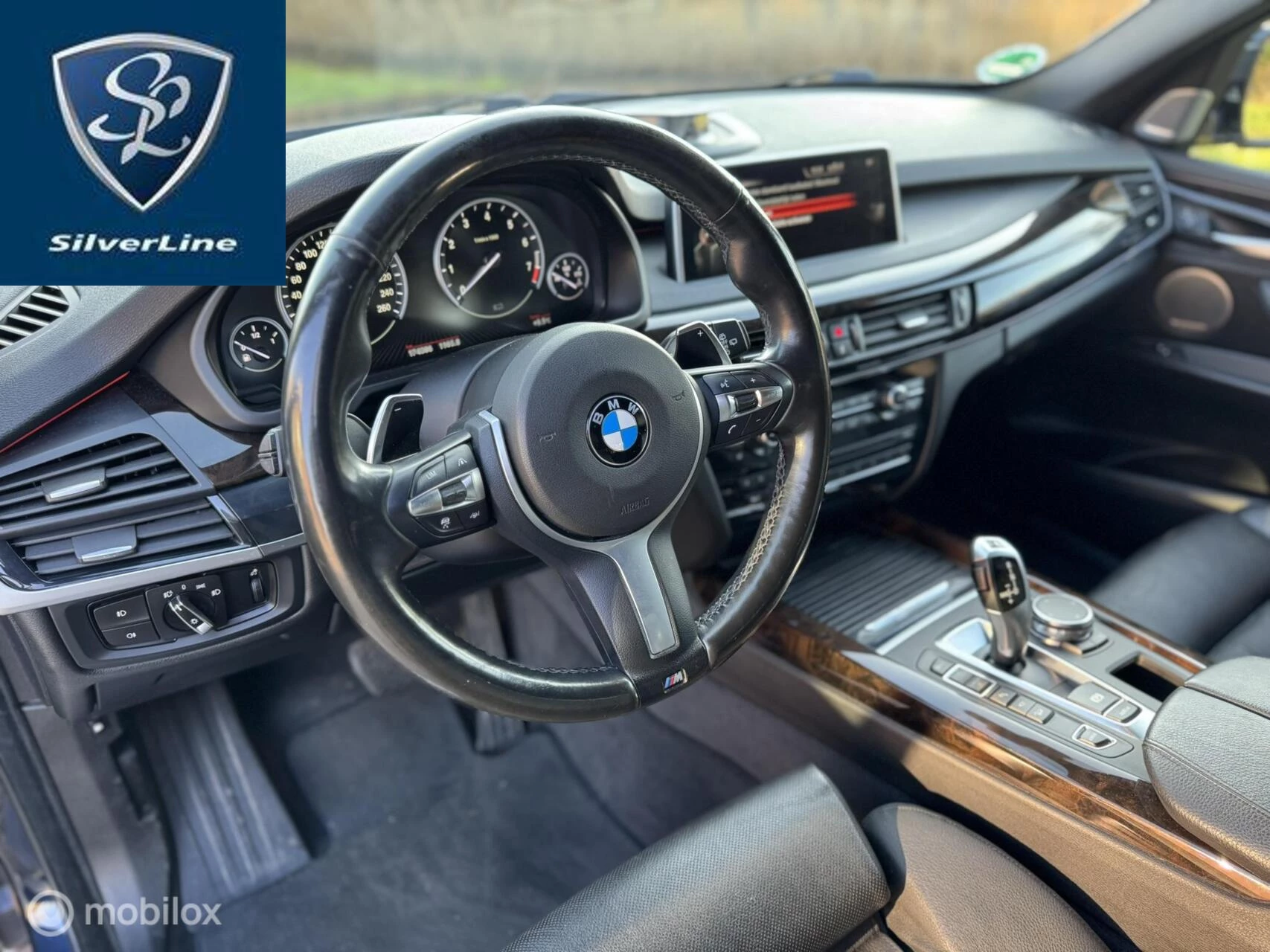 Hoofdafbeelding BMW X5