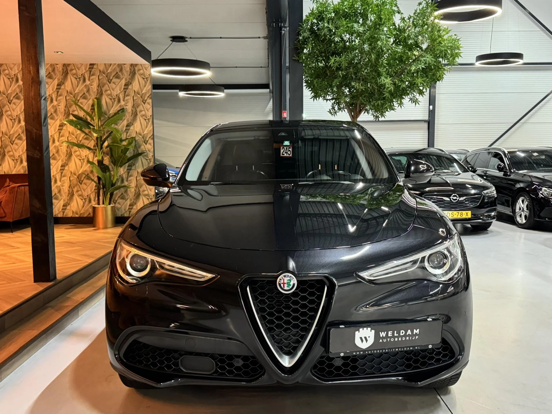 Hoofdafbeelding Alfa Romeo Stelvio