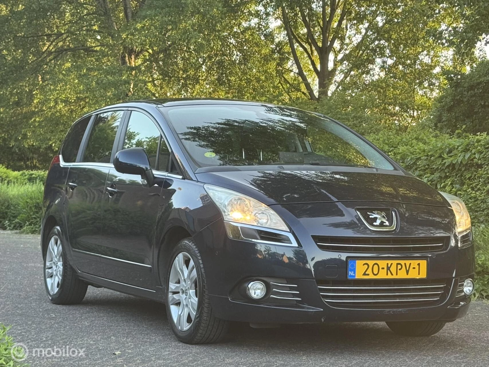 Hoofdafbeelding Peugeot 5008