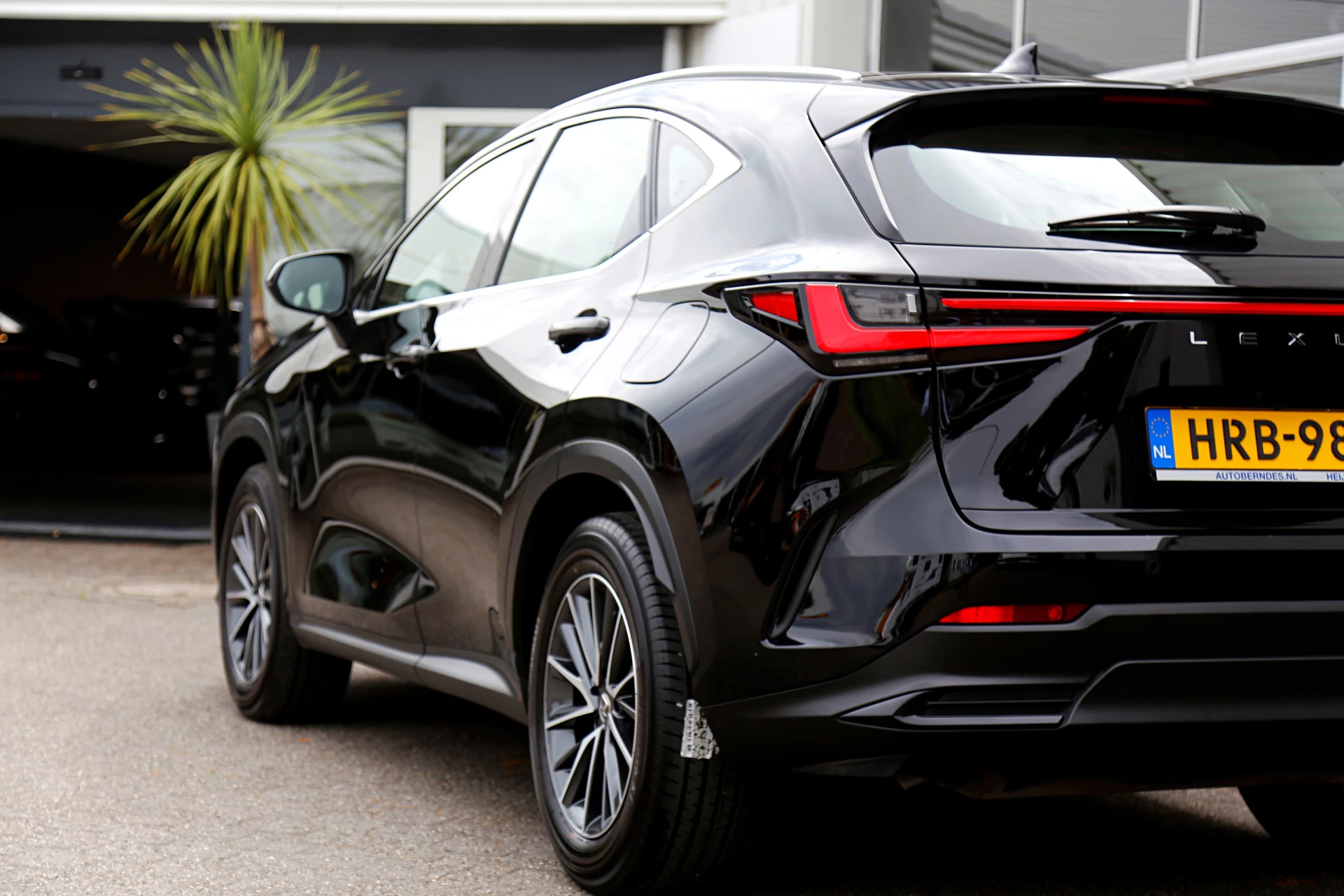 Hoofdafbeelding Lexus NX