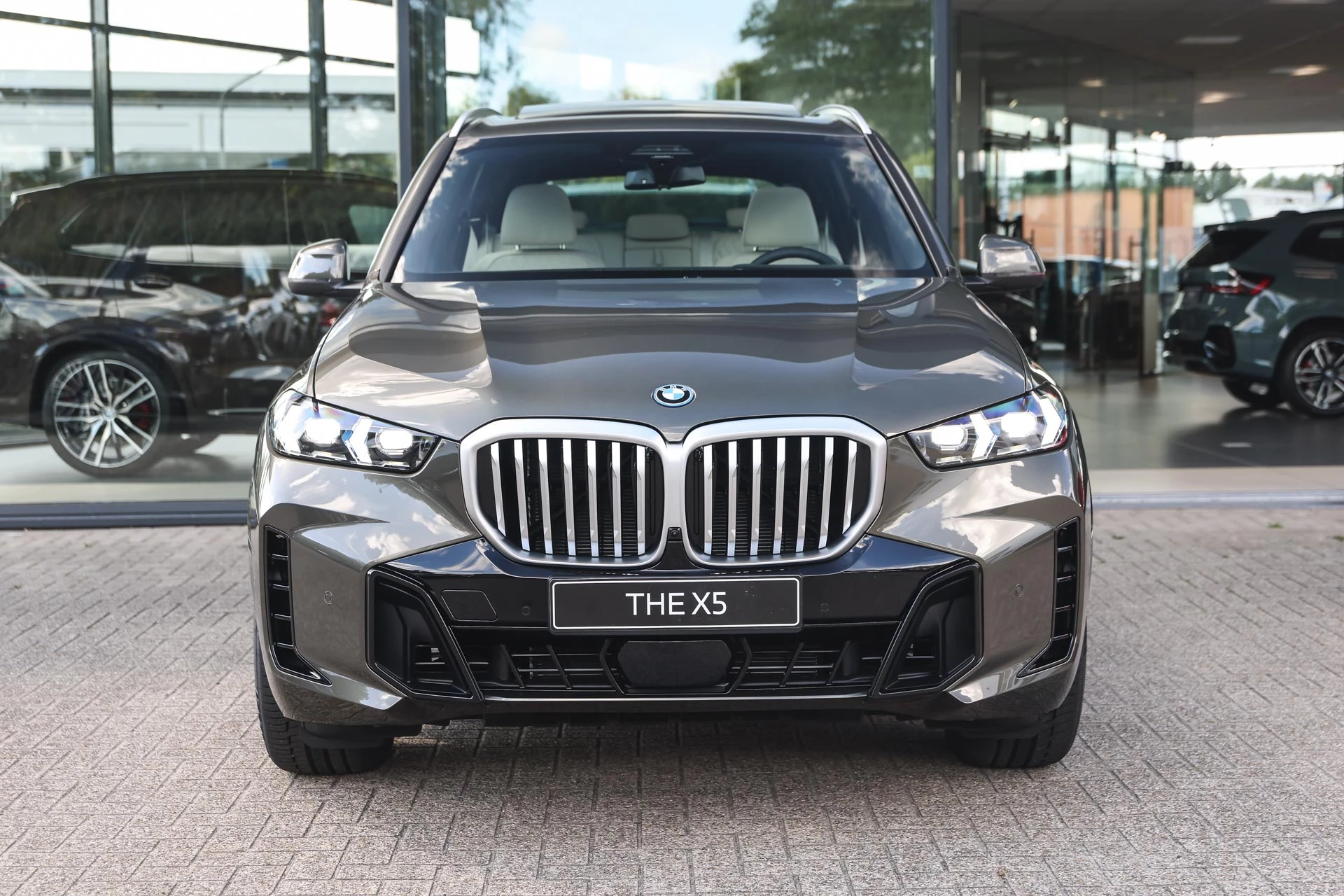 Hoofdafbeelding BMW X5