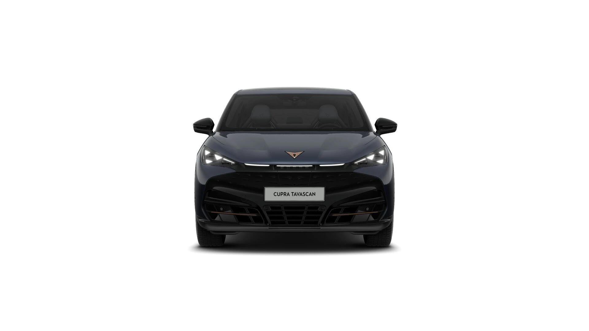 Hoofdafbeelding CUPRA Tavascan