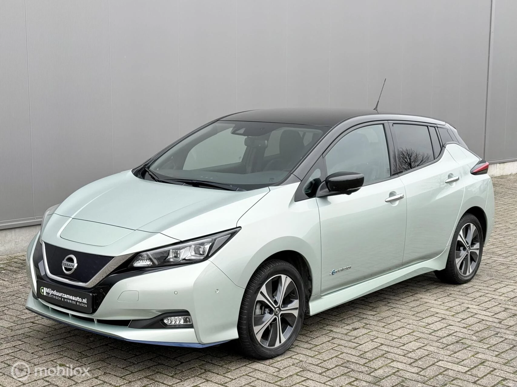 Hoofdafbeelding Nissan Leaf