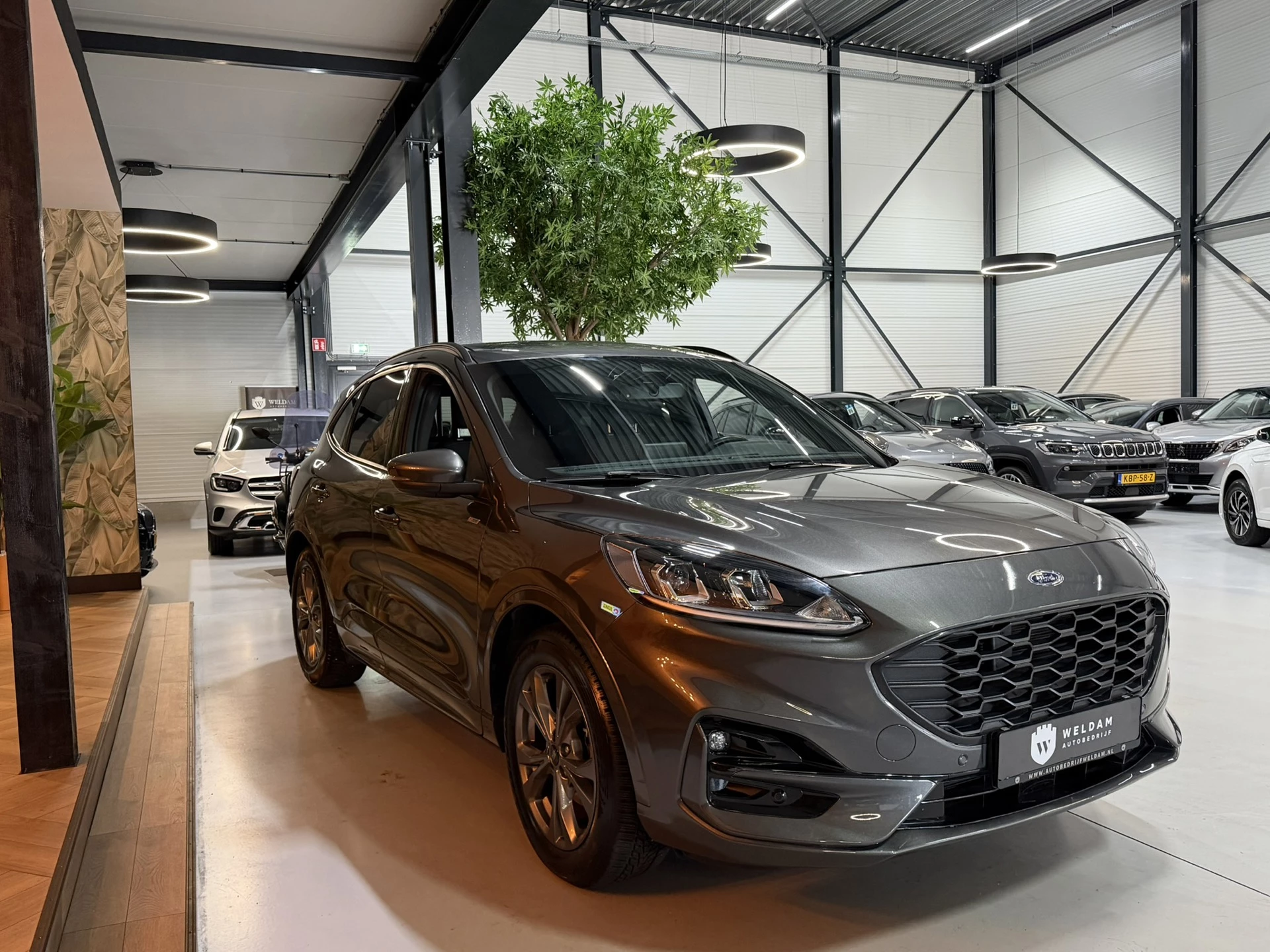Hoofdafbeelding Ford Kuga