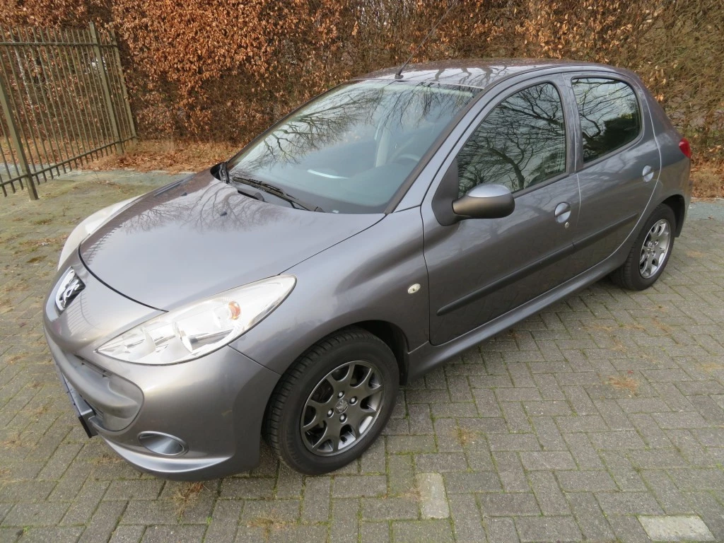 Hoofdafbeelding Peugeot 206