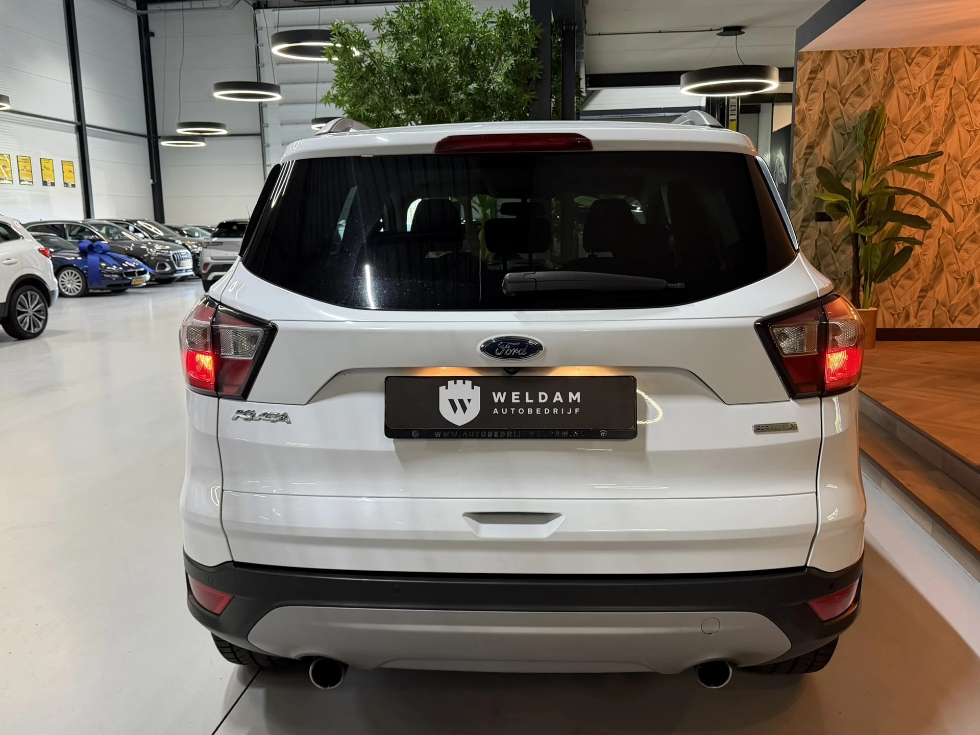 Hoofdafbeelding Ford Kuga