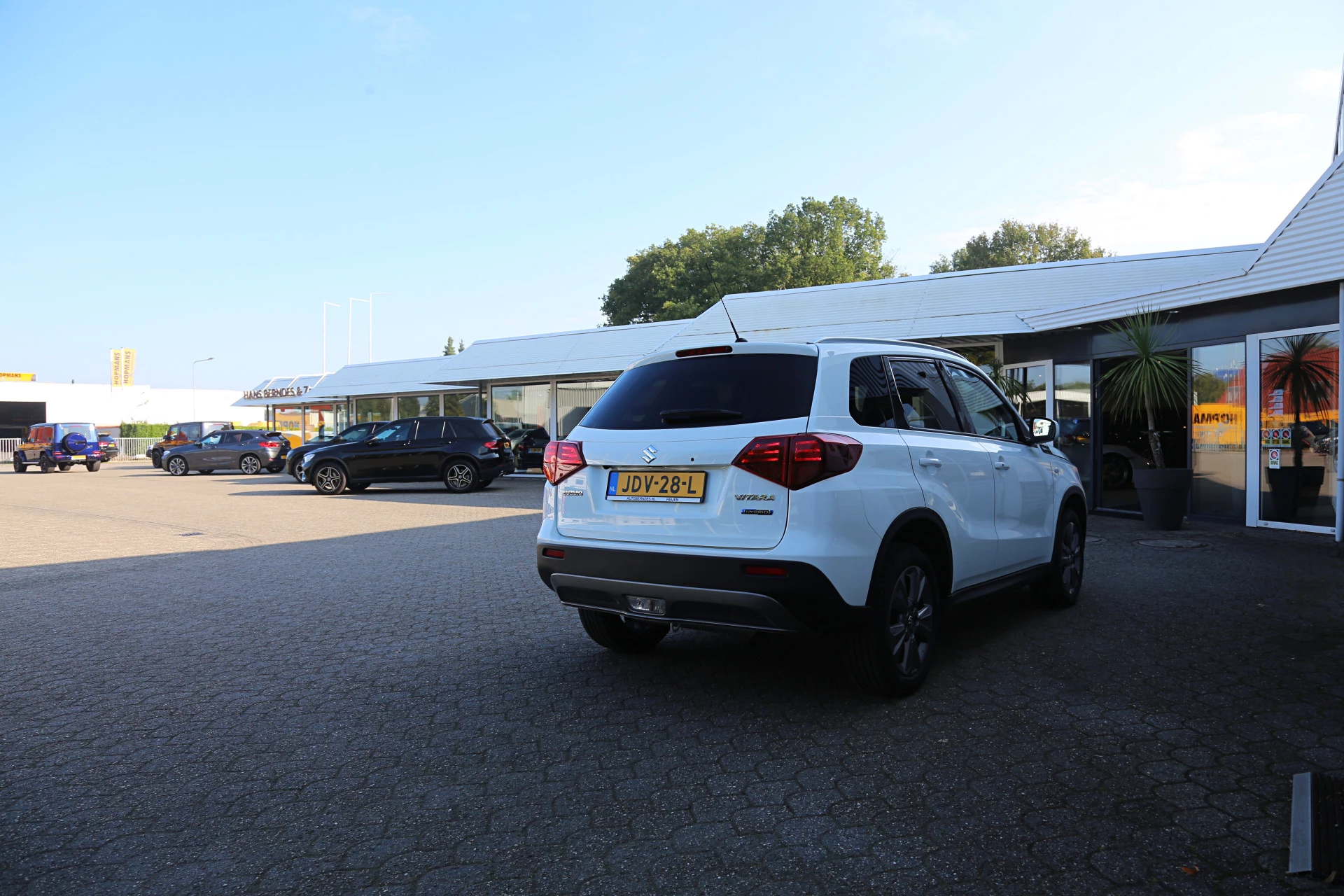 Hoofdafbeelding Suzuki Vitara
