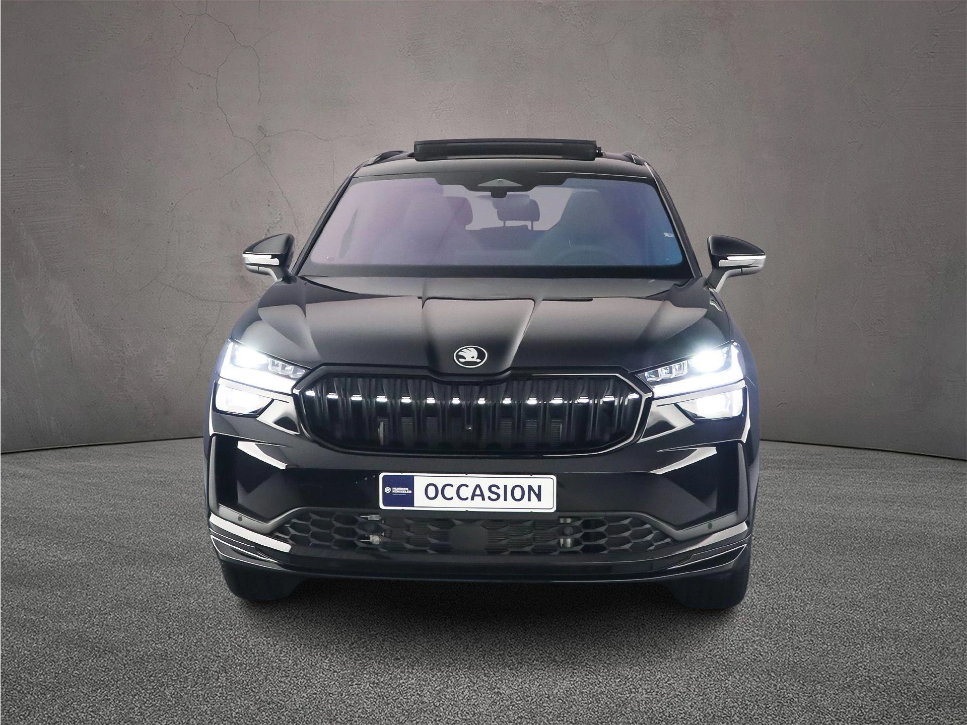 Hoofdafbeelding Škoda Kodiaq
