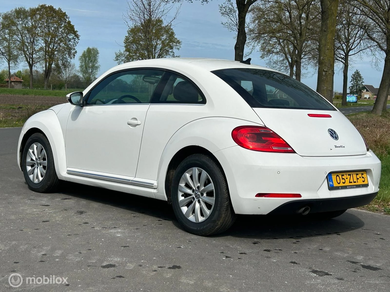 Hoofdafbeelding Volkswagen Beetle