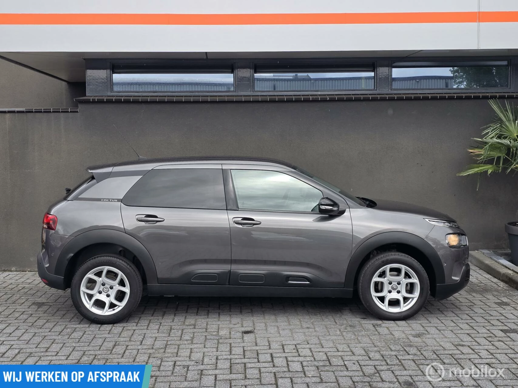 Hoofdafbeelding Citroën C4 Cactus