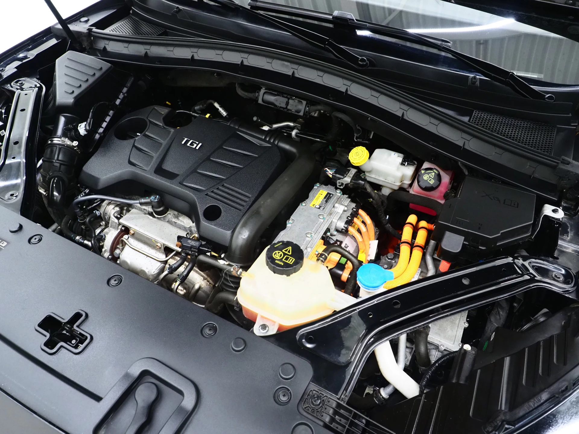 Hoofdafbeelding MG EHS