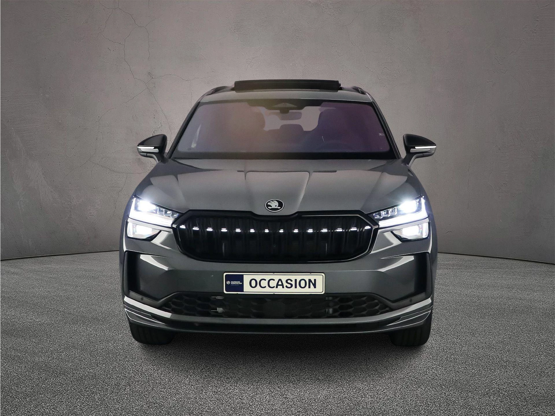 Hoofdafbeelding Škoda Kodiaq