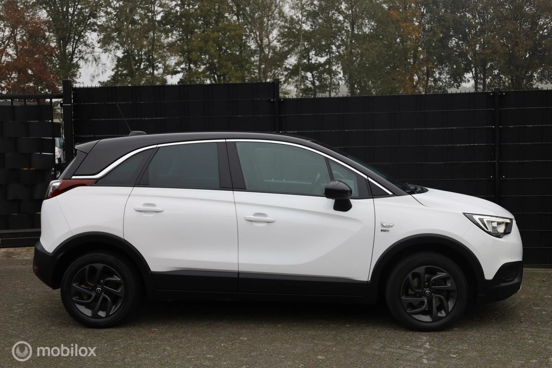 Hoofdafbeelding Opel Crossland X