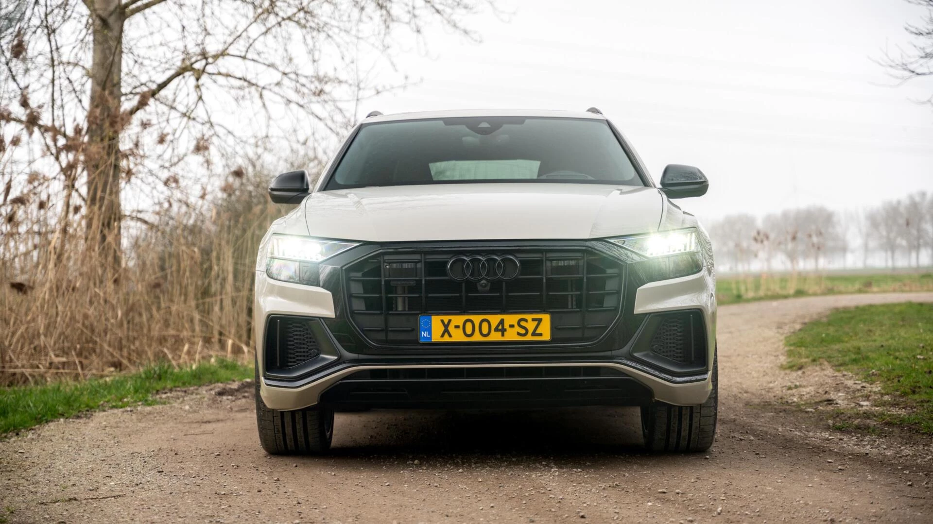 Hoofdafbeelding Audi Q8