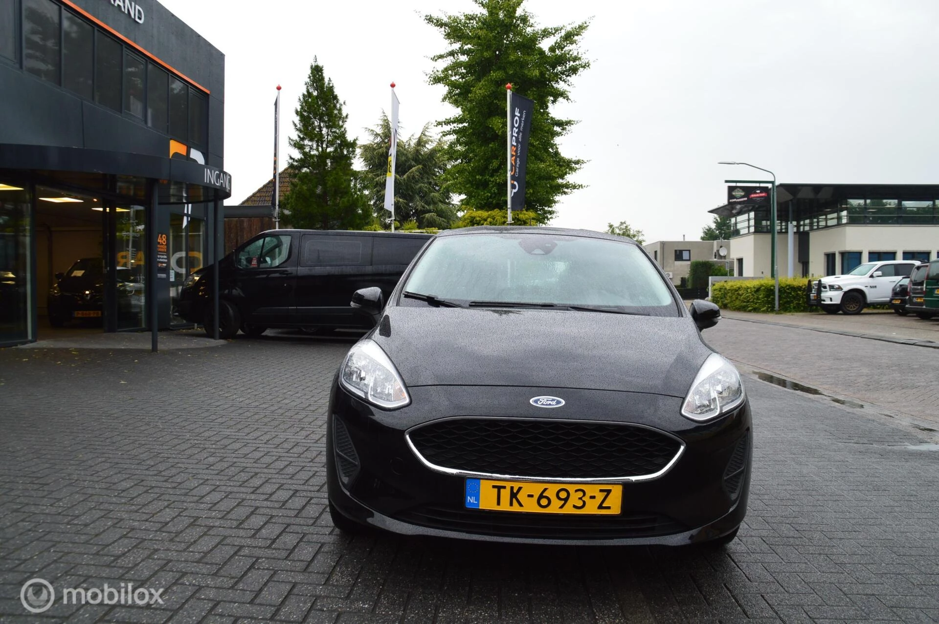 Hoofdafbeelding Ford Fiesta