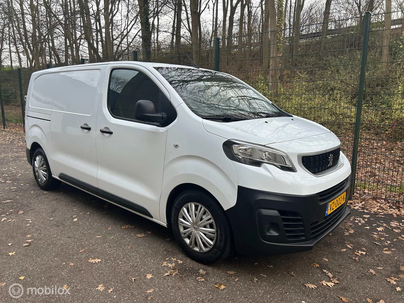 Hoofdafbeelding Peugeot Expert