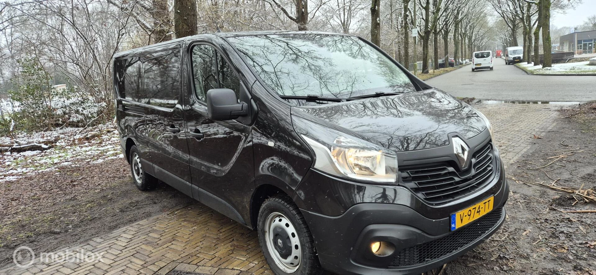 Hoofdafbeelding Renault Trafic