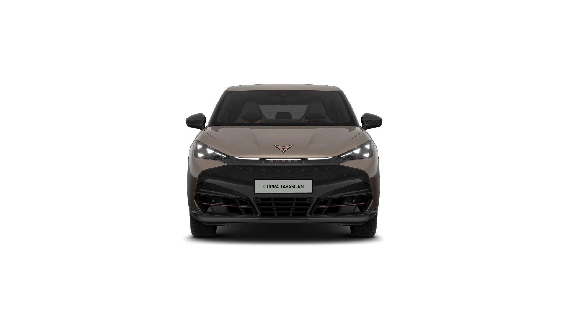 Hoofdafbeelding CUPRA Tavascan