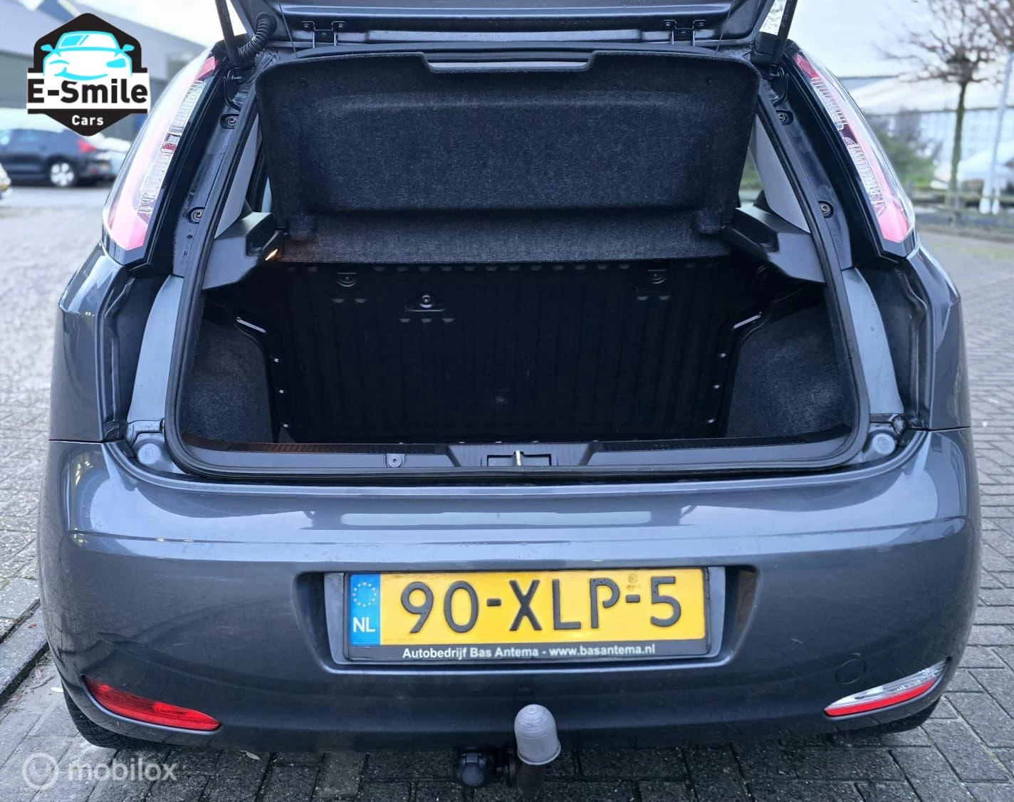 Hoofdafbeelding Fiat Punto