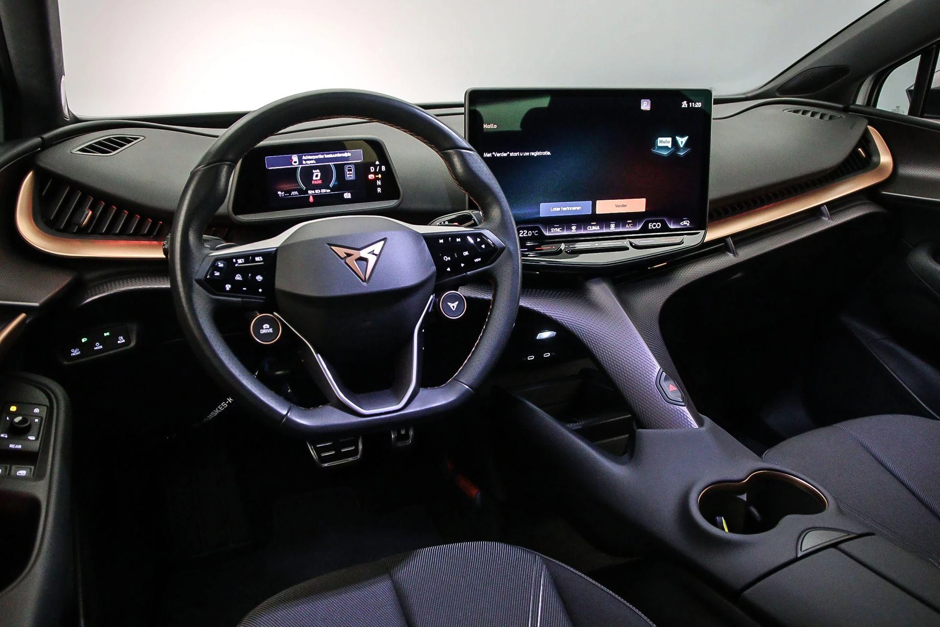 Hoofdafbeelding CUPRA Tavascan