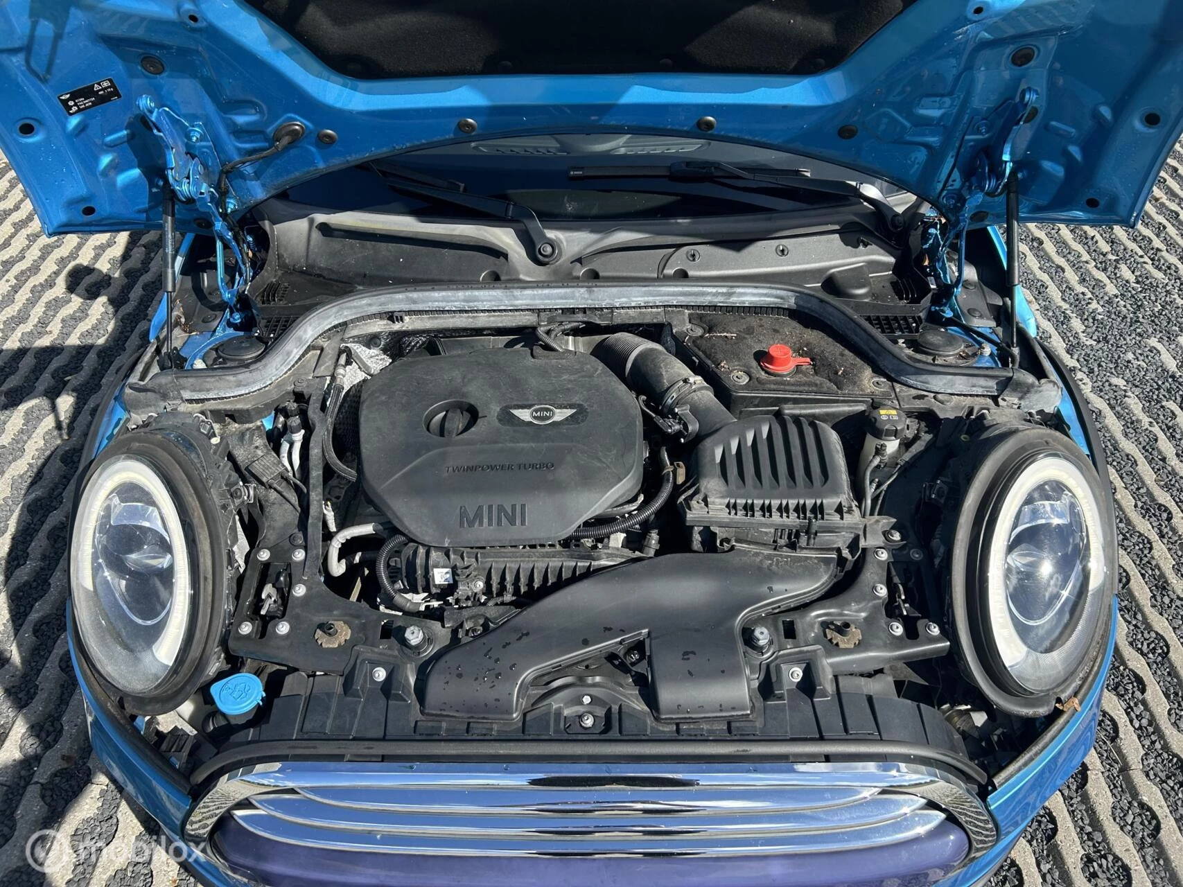 Hoofdafbeelding MINI Cooper