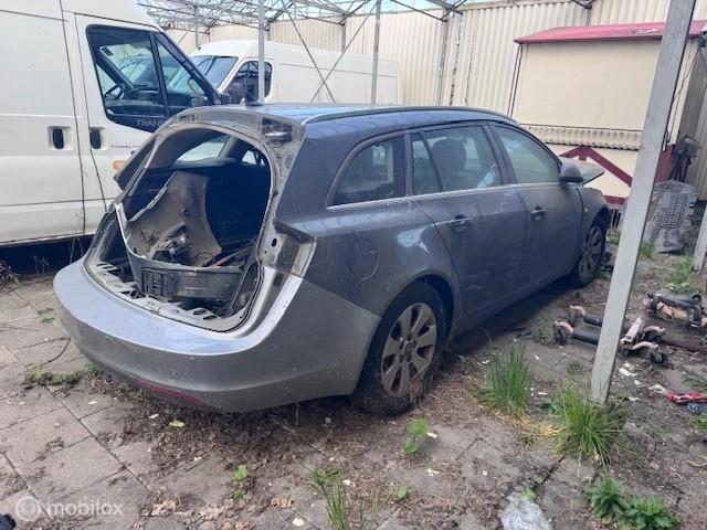 Hoofdafbeelding Opel Insignia